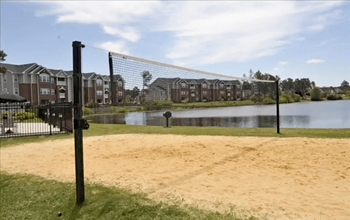 Volleyball area